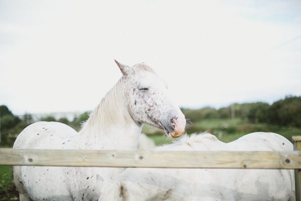 wedding photography Ireland - Sligo-donegal-4