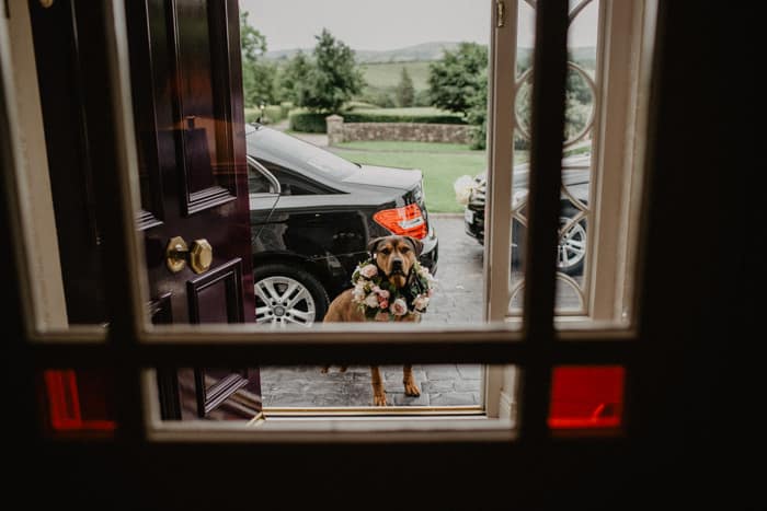 Helen and Owen // Lough Rynn Castle Ireland